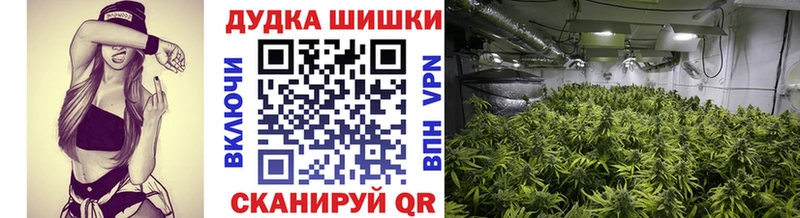 Где купить наркотики Королёв Кокаин  А ПВП  Гашиш 